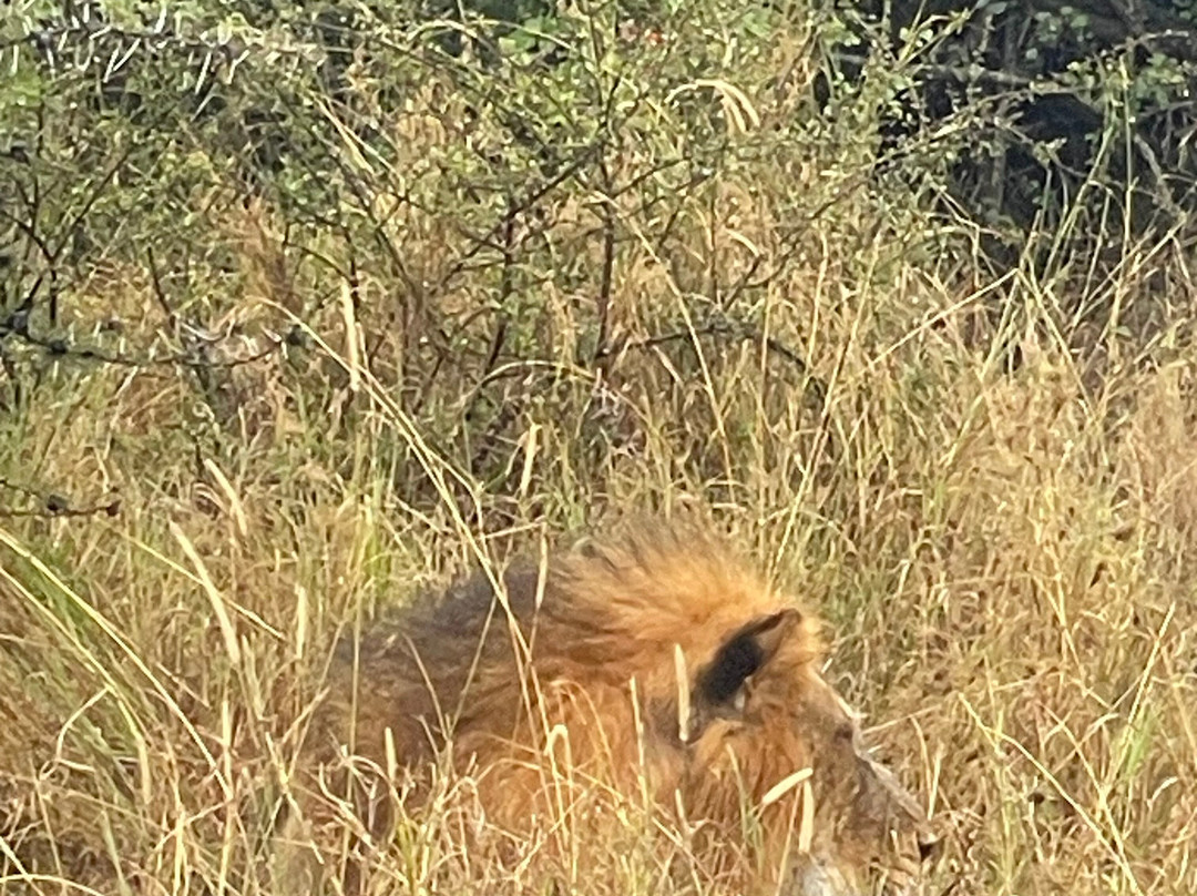 Aisanguyan Safaris-Sekenani必去景点