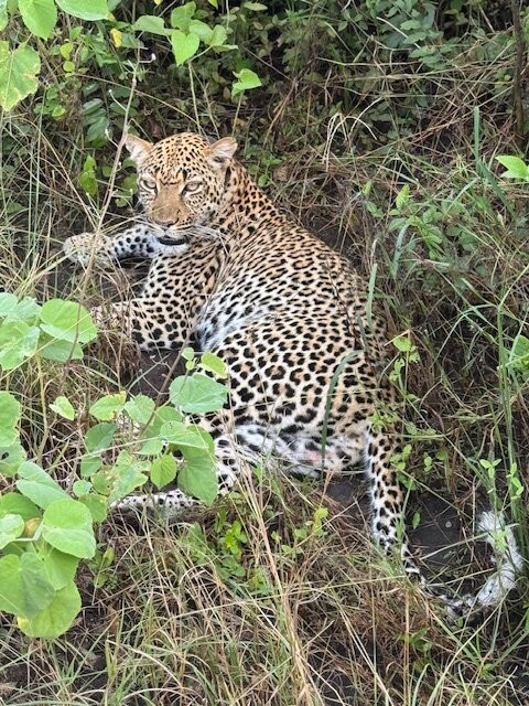 Terrace Uganda Safaris-卡巴莱必去景点