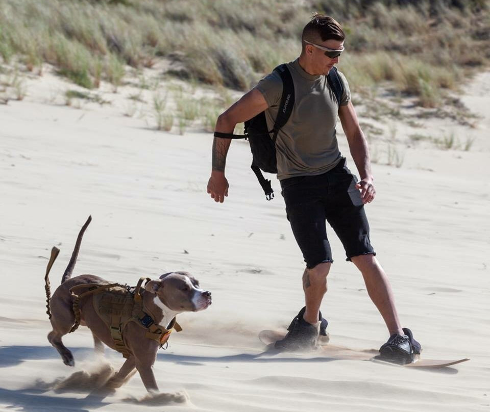 Sand Master Park - Sandboarding-弗洛伦斯必去景点