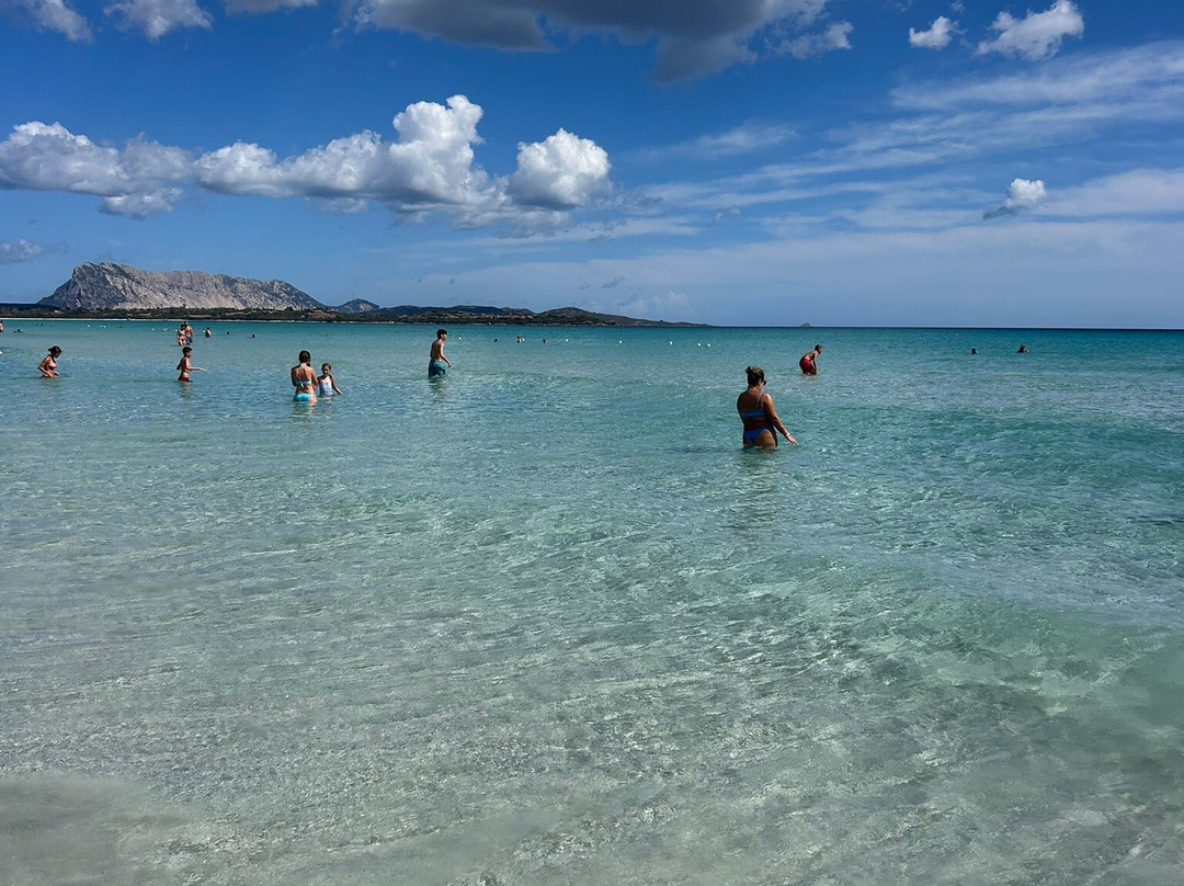 Spiaggia La Cinta-San Teodoro必去景点