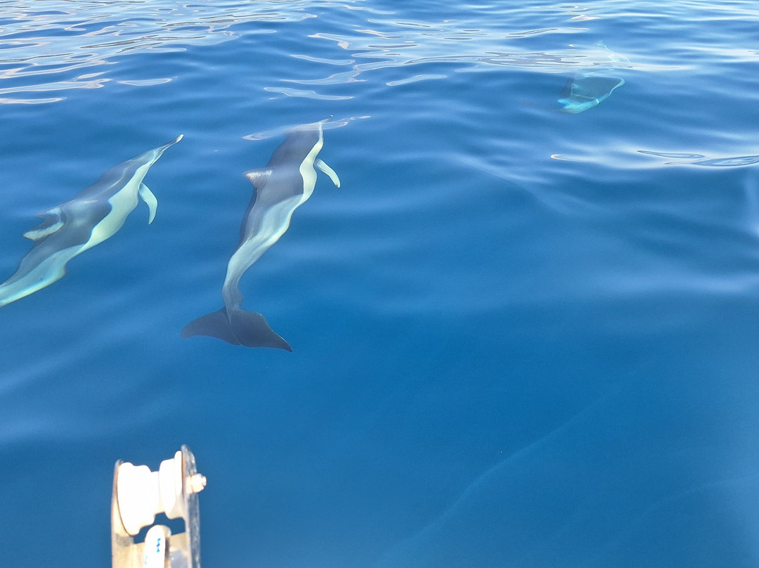 Flagman Service-Ormos Marathokampou必去景点