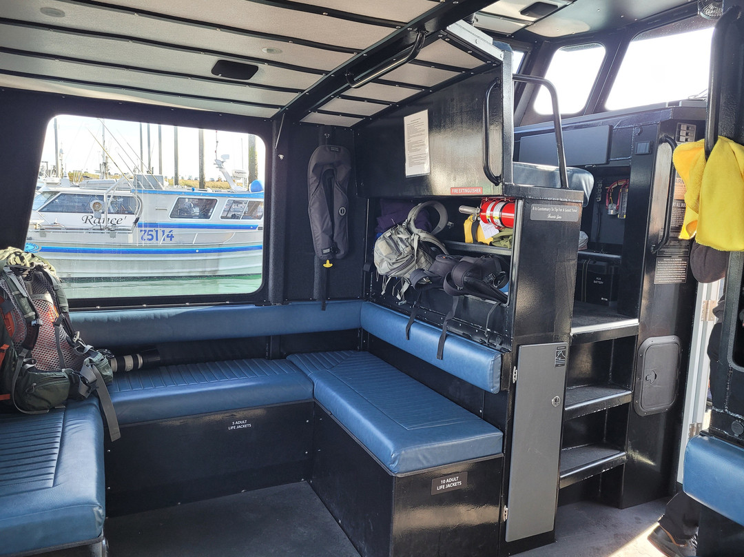 Coldwater Alaska-荷马必去景点