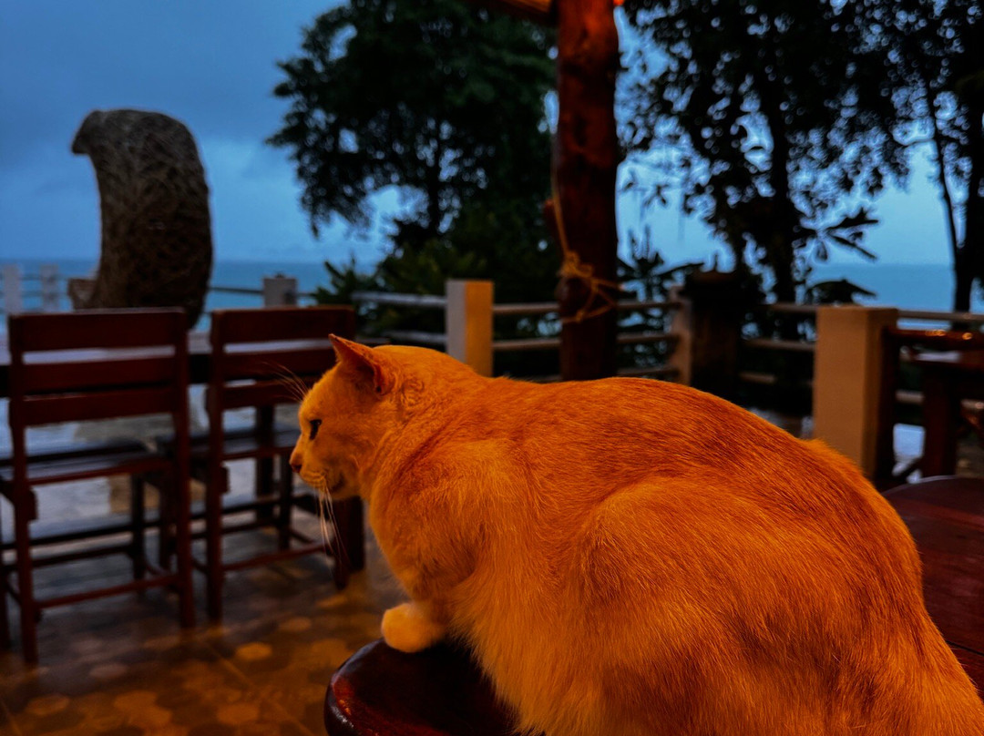 艾斯穆拉达景观度假村主图