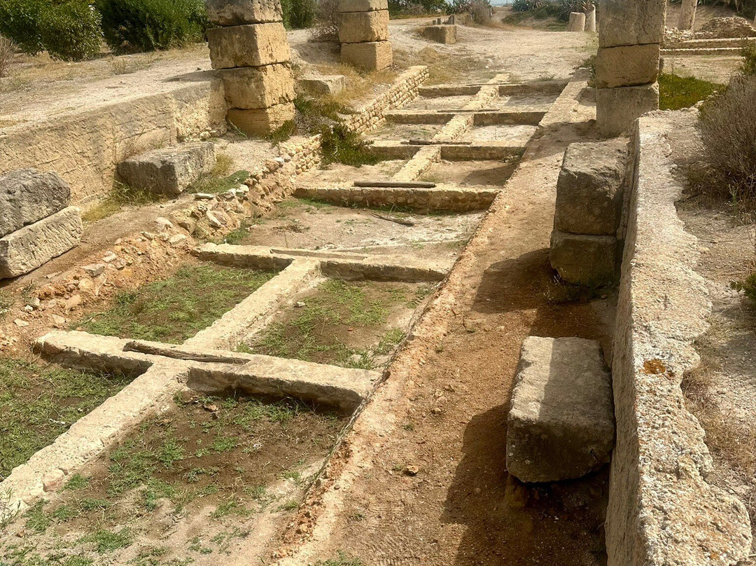 Punic Ports & Museum-迦太基必去景点