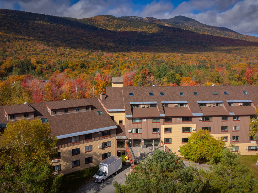 Black Bear Lodge主图