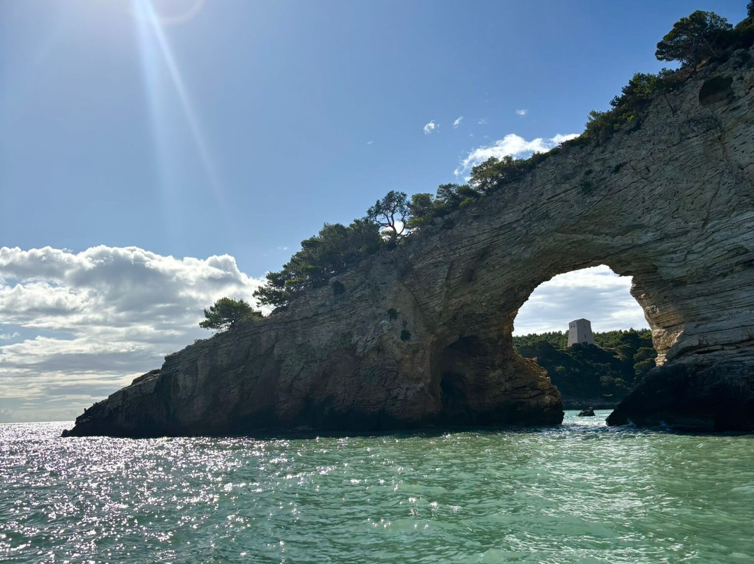 Motobarca Paloma Tour Grotte del Gargano-维耶斯泰必去景点