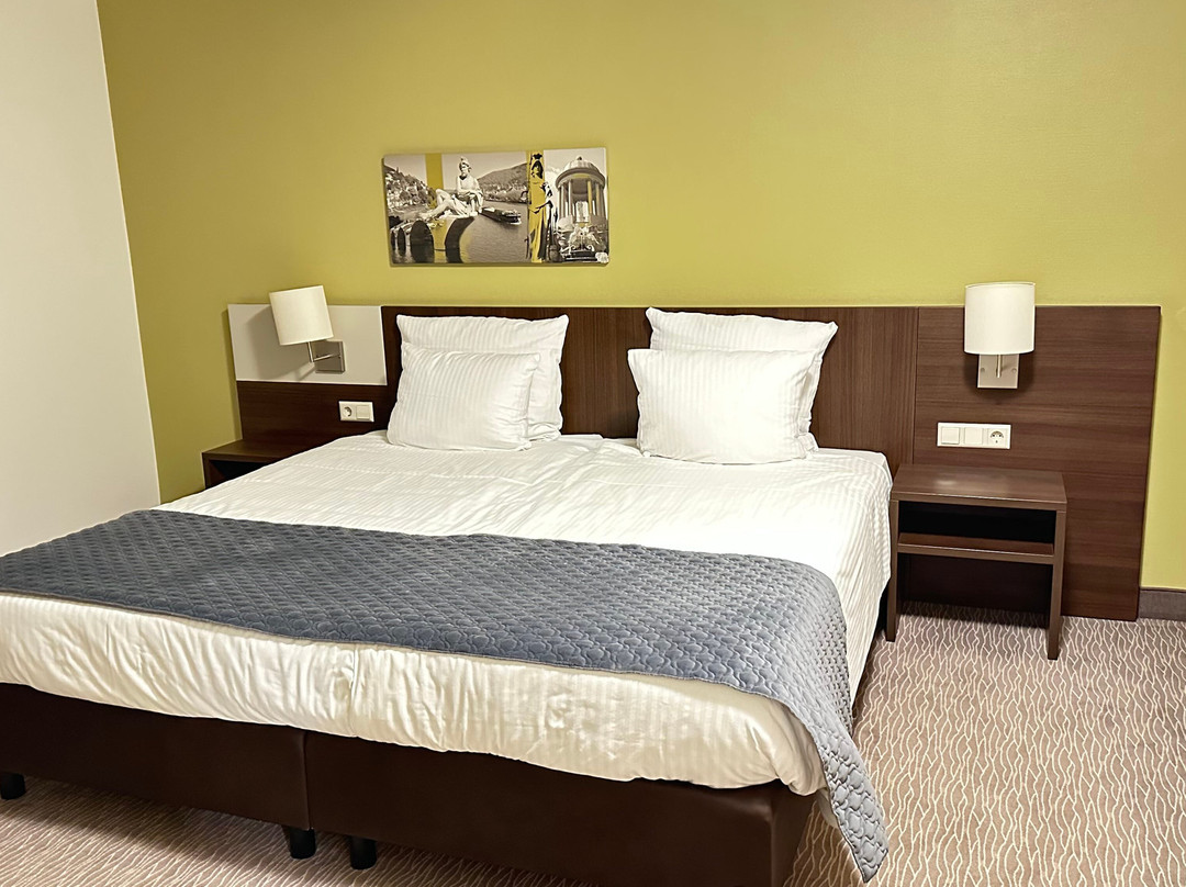 海德尔堡-瓦尔多夫度假酒店主图