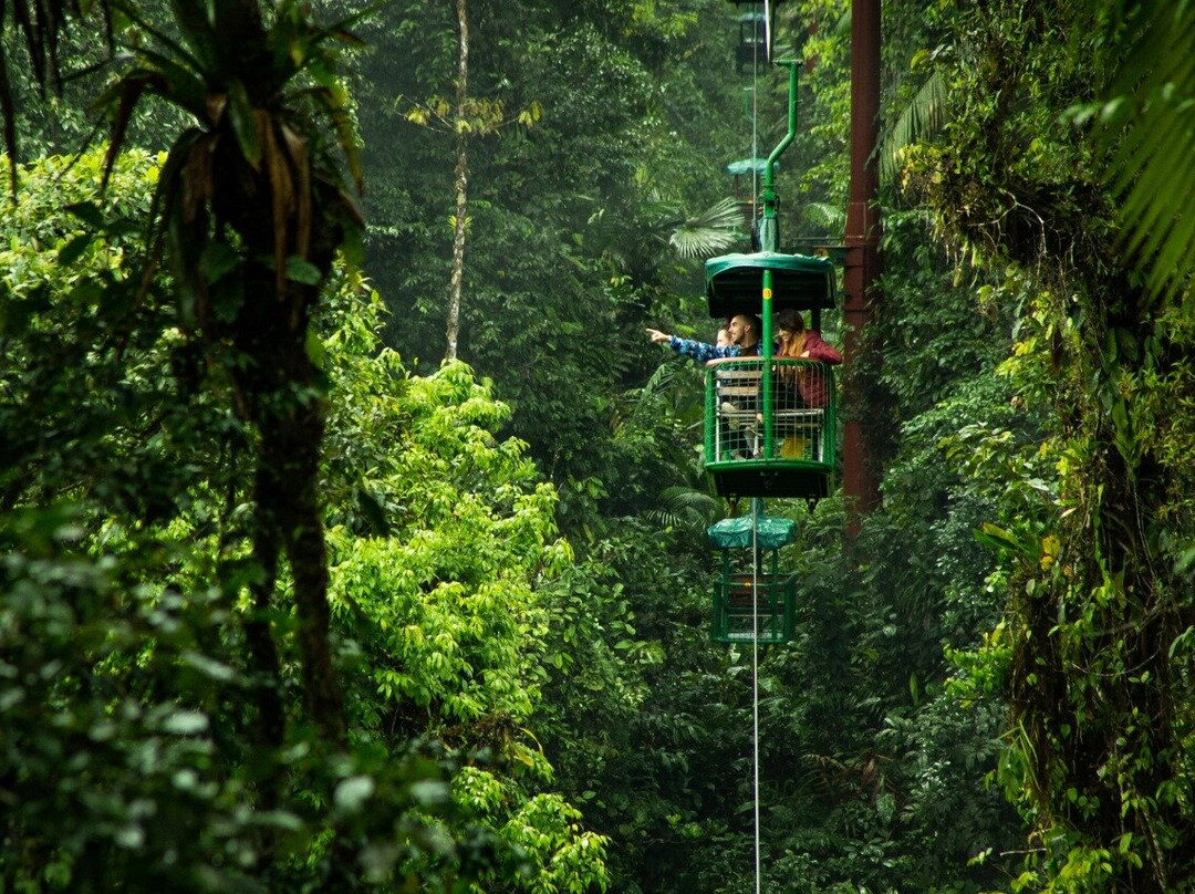 Rainforest Adventures Braulio Carrillo-爱雷迪雅必去景点