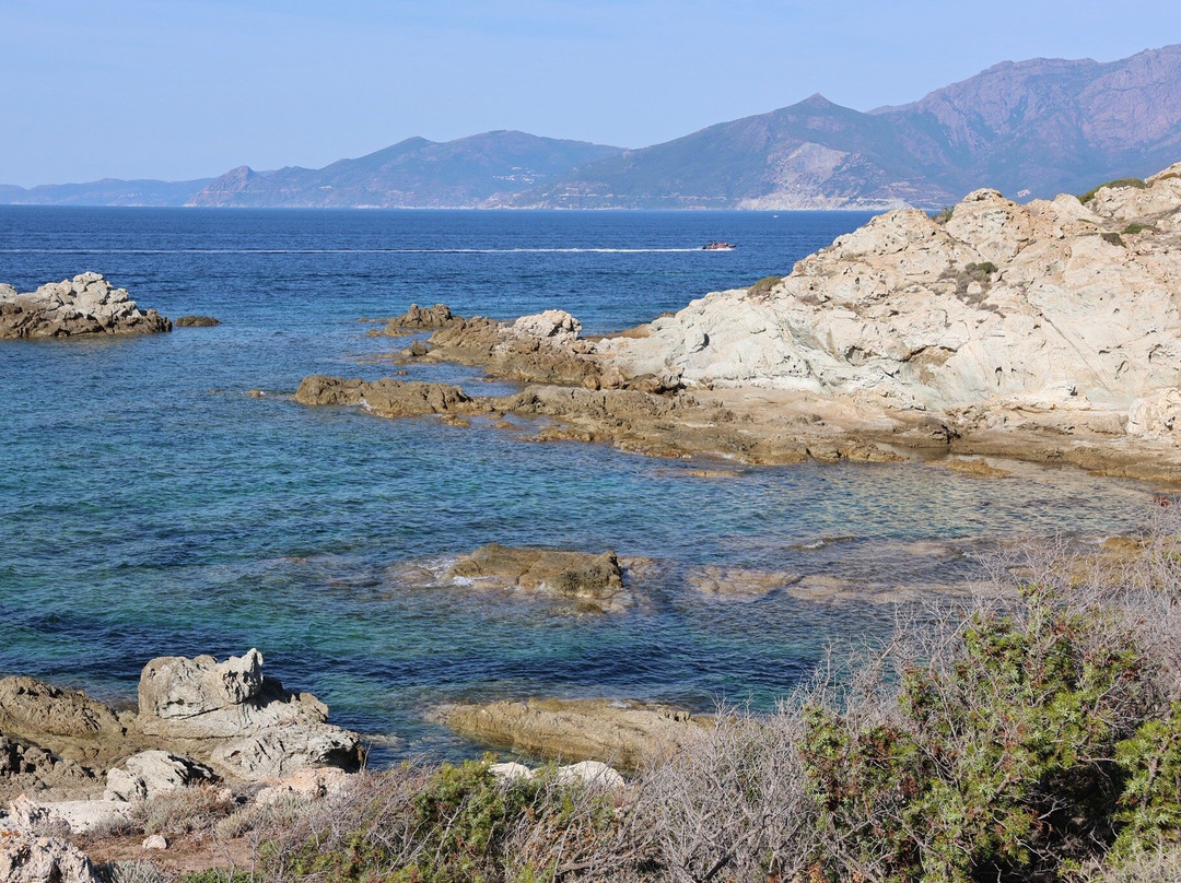 Saleccia Off Road-Saint Florent必去景点