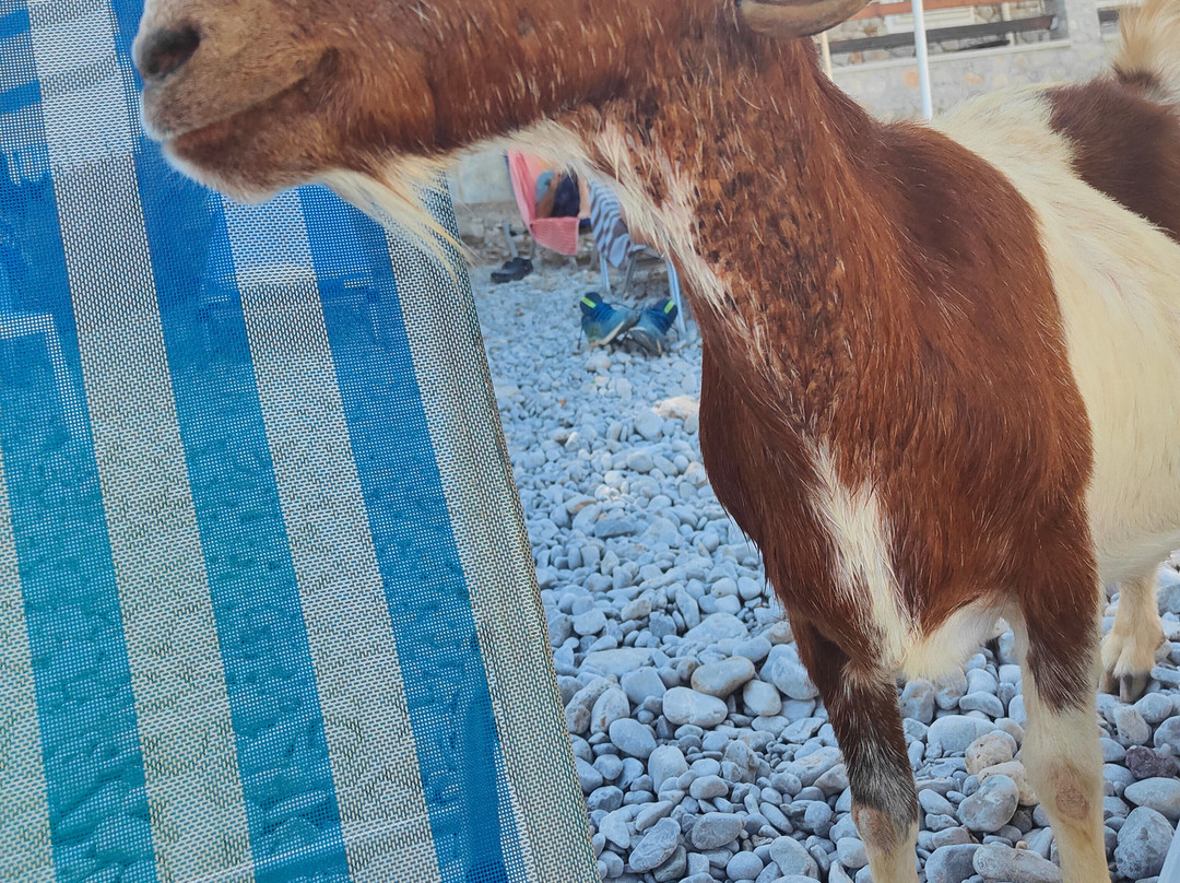Marathounda Beach-Symi必去景点