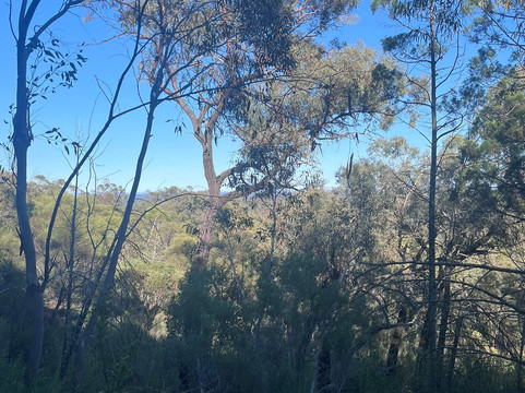 Ben Hall's Cave-Grenfell必去景点