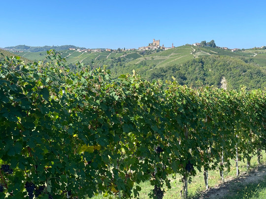 Diwine Tour-阿尔巴必去景点