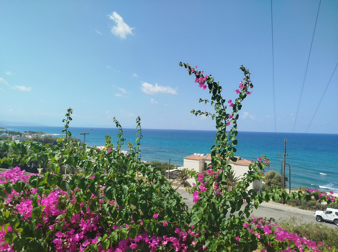 Scaleta Beach Hotel主图