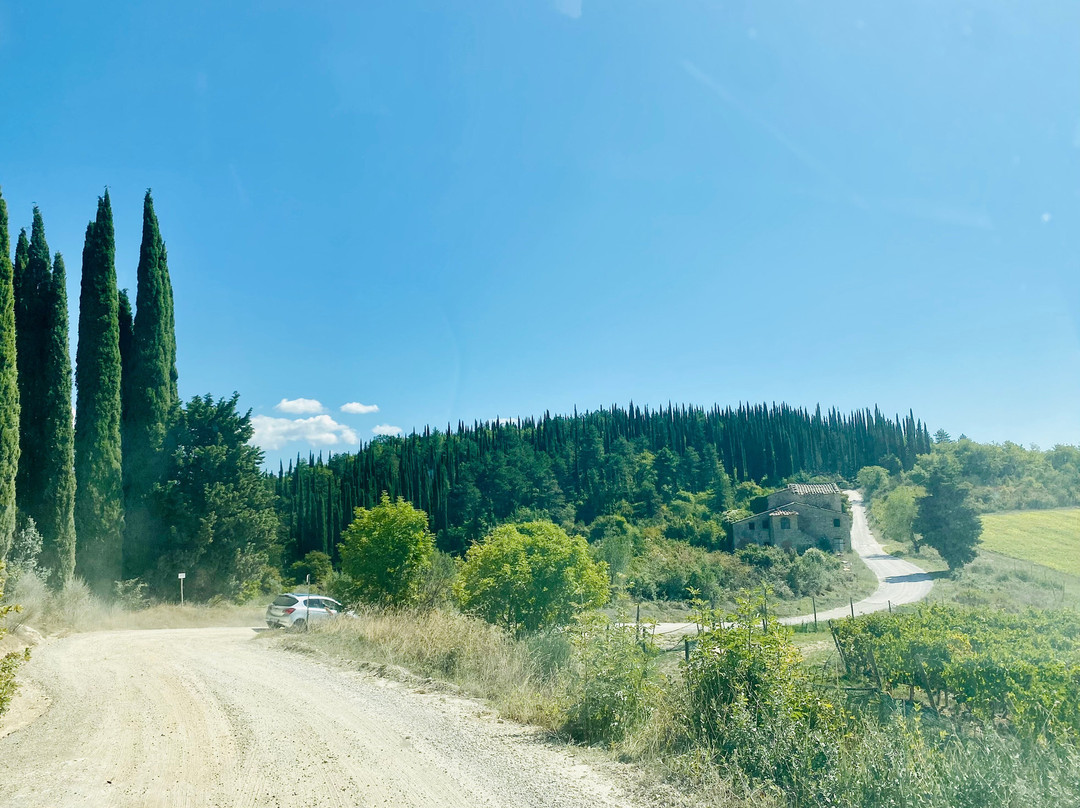 Take Me Out in Tuscany-锡耶纳必去景点