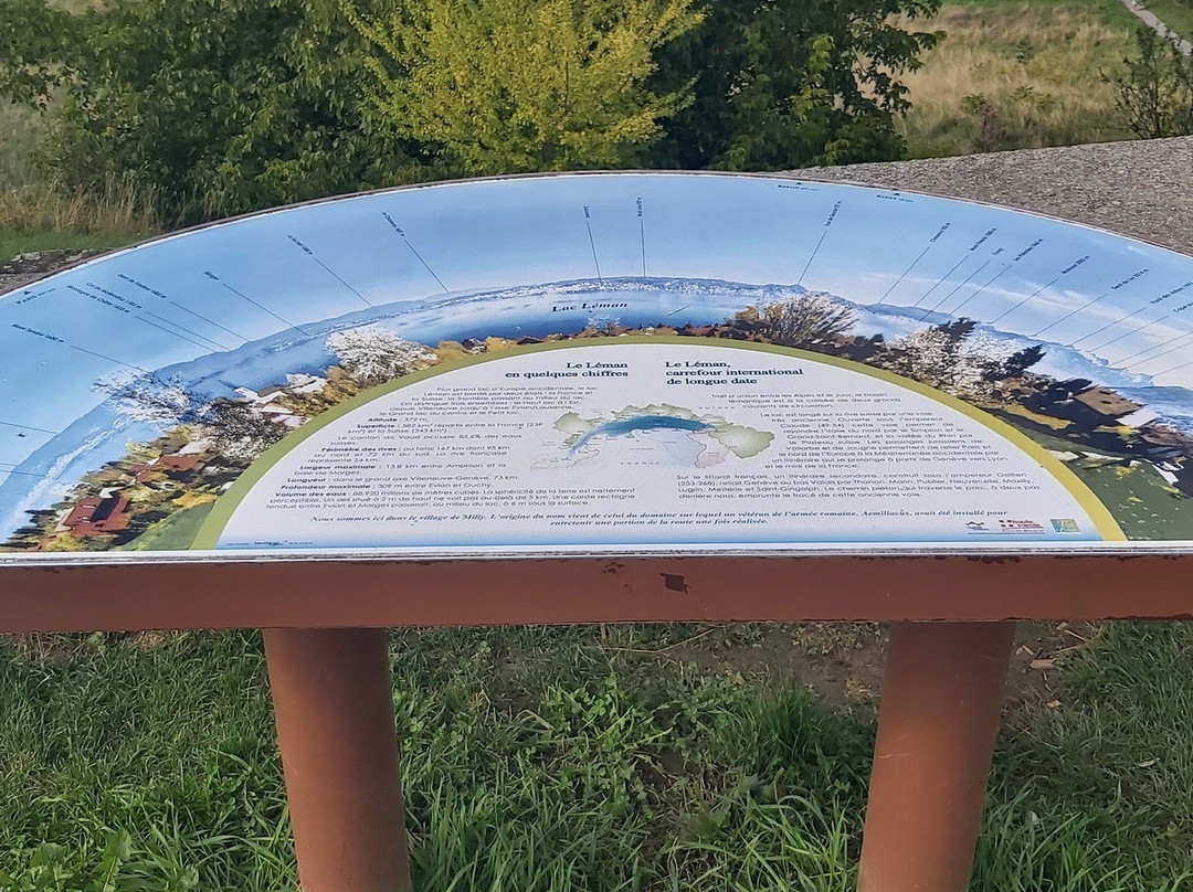 依云登山缆车-依云必去景点