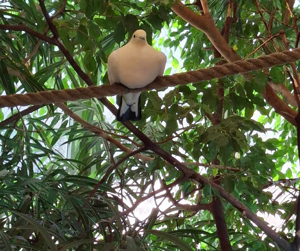 Newquay Zoo-纽奎必去景点