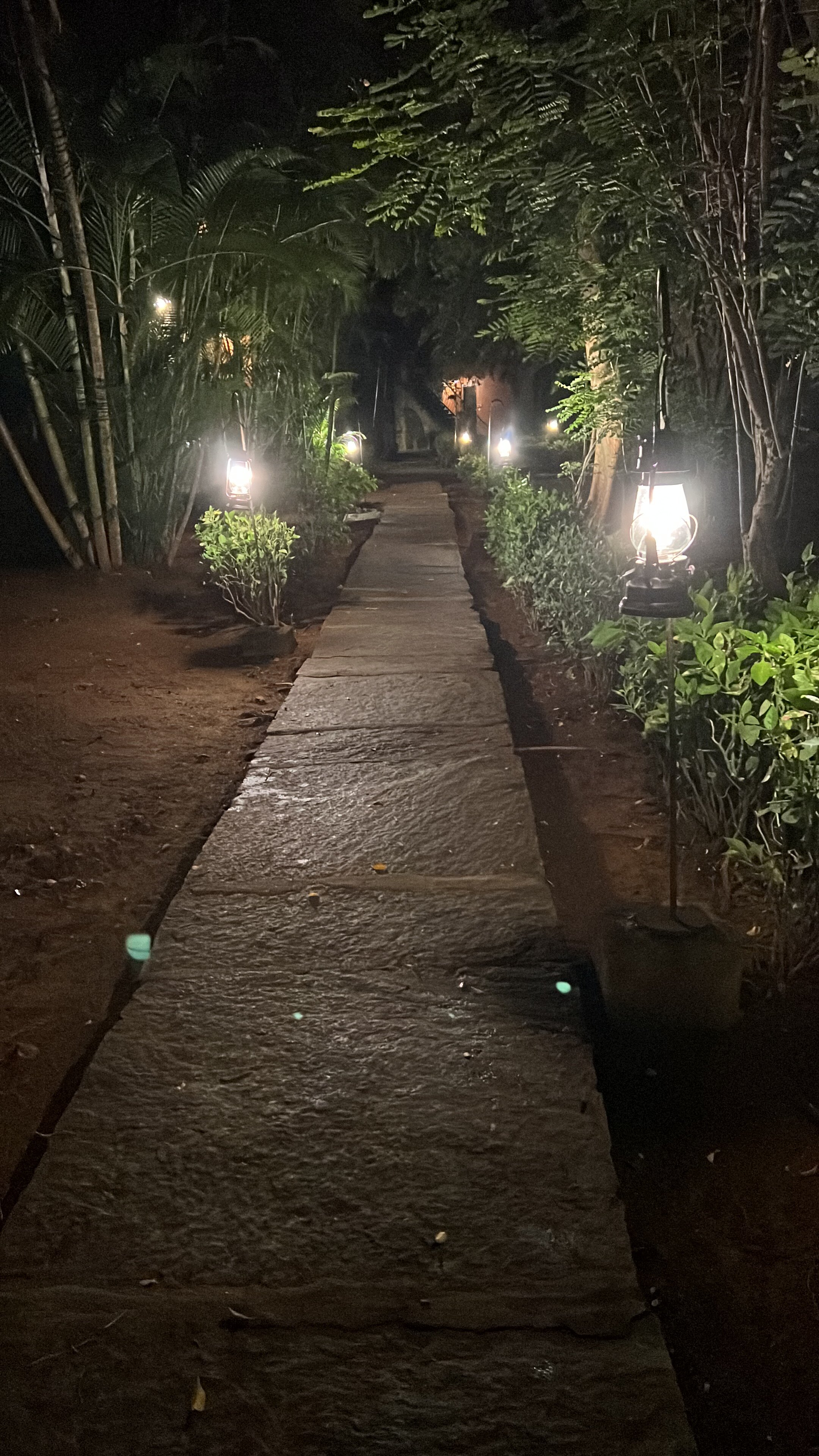 Sparsa Thiruvannamalai-官方