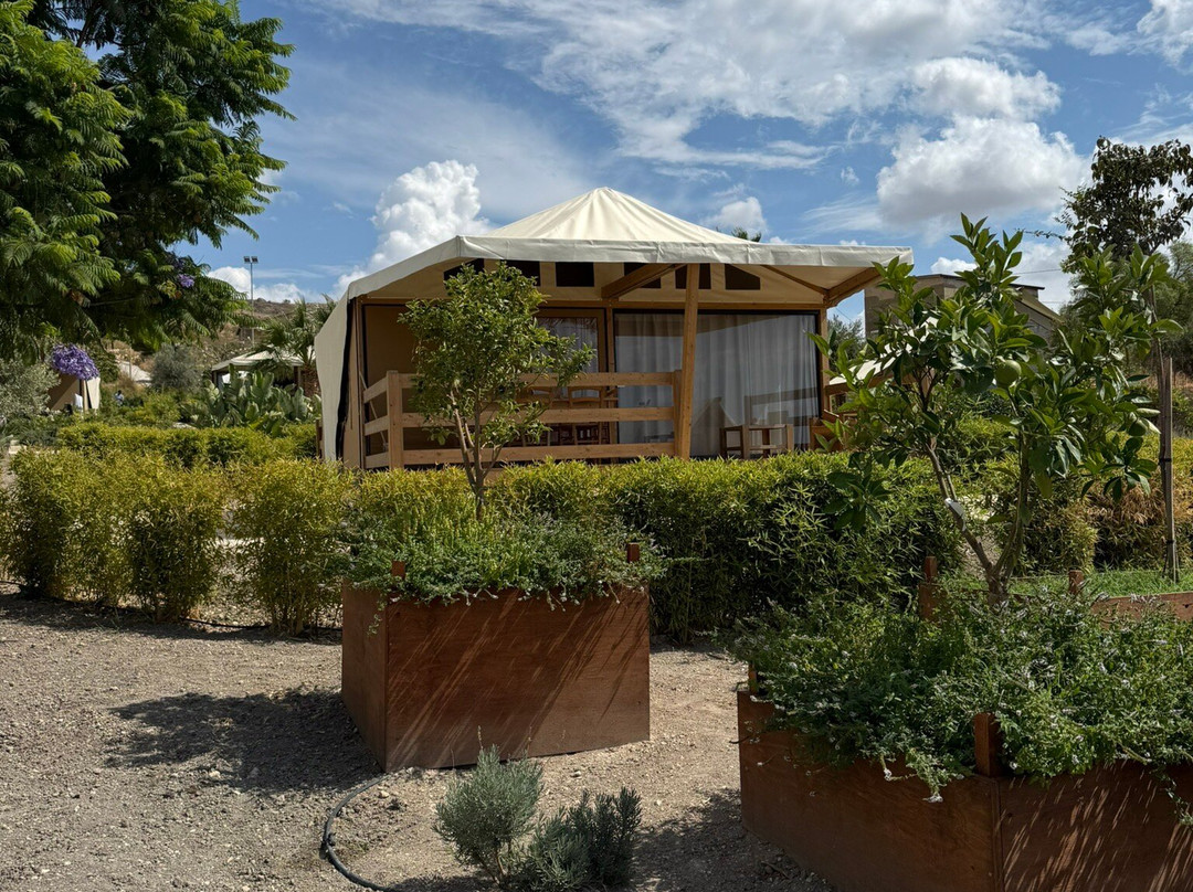 Terreforti Luxury Village主图