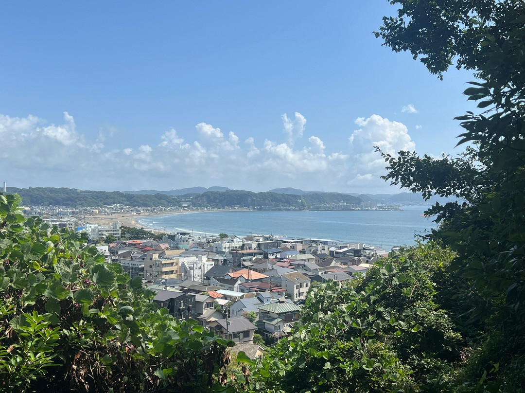 Japan Wonder Travel-Tsukiji必去景点