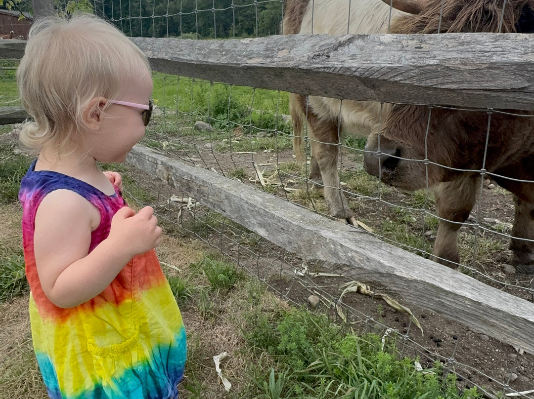 Blue Iris Farm-Lebanon必去景点