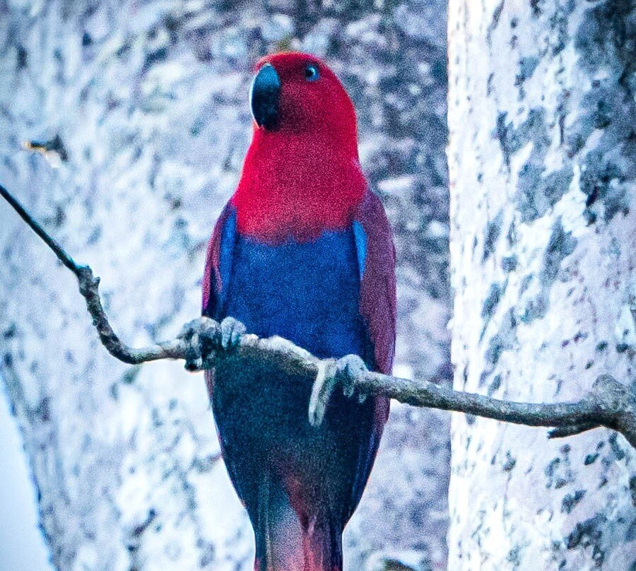 Australian Geographic Travel-悉尼必去景点