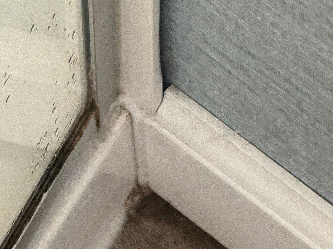 Baywatch Resort主图