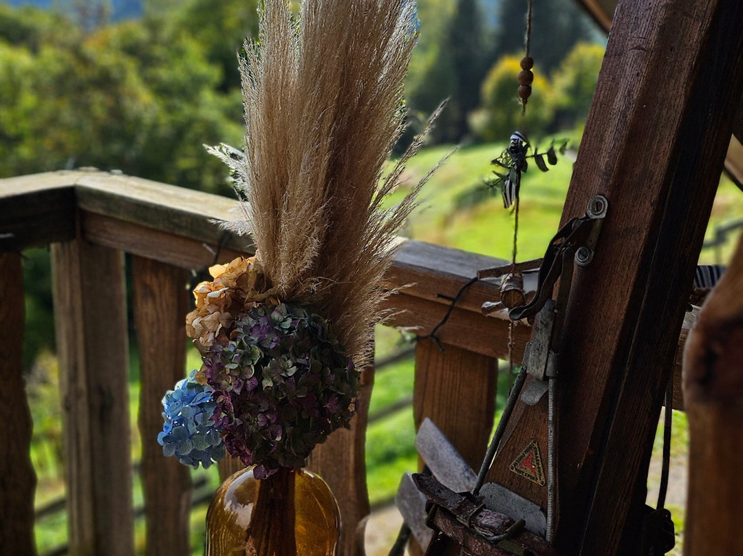 La Ferme des 4 Vents主图