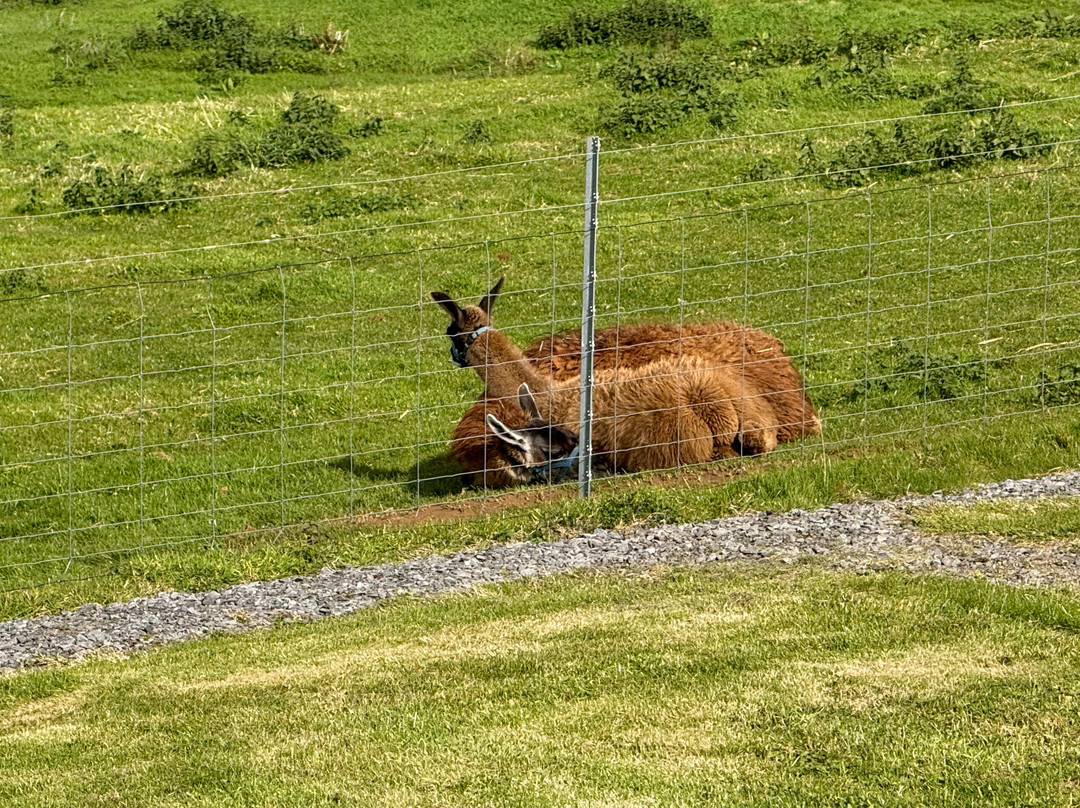 Campview Farm-Ballyshannon必去景点