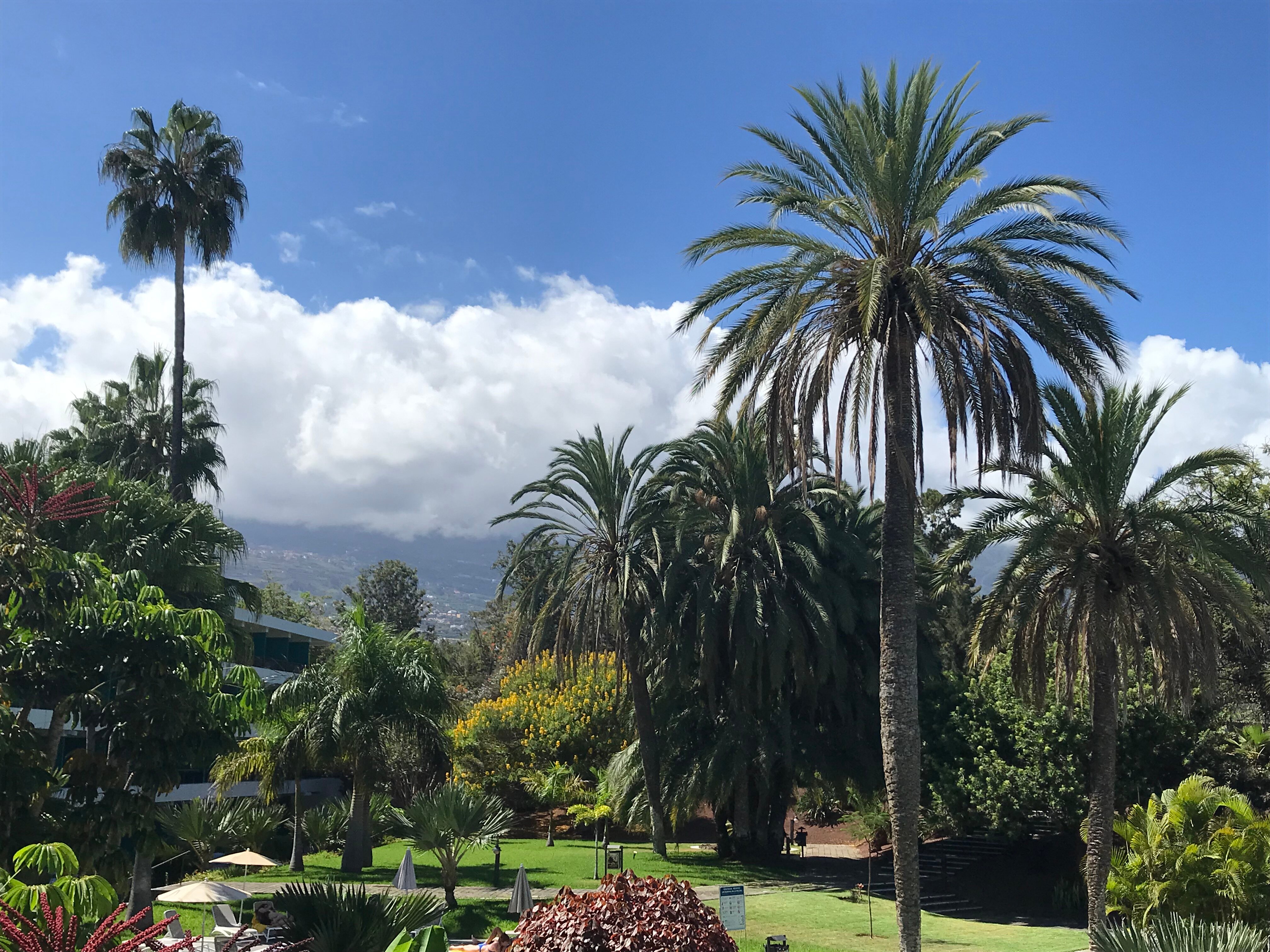 Hotel TRH Taoro Garden-浴室