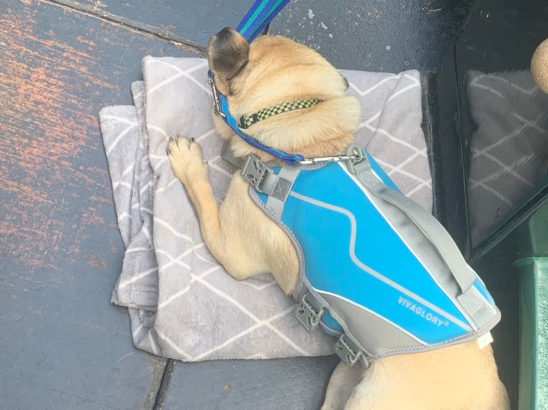 Castle Narrowboats-Gilwern必去景点