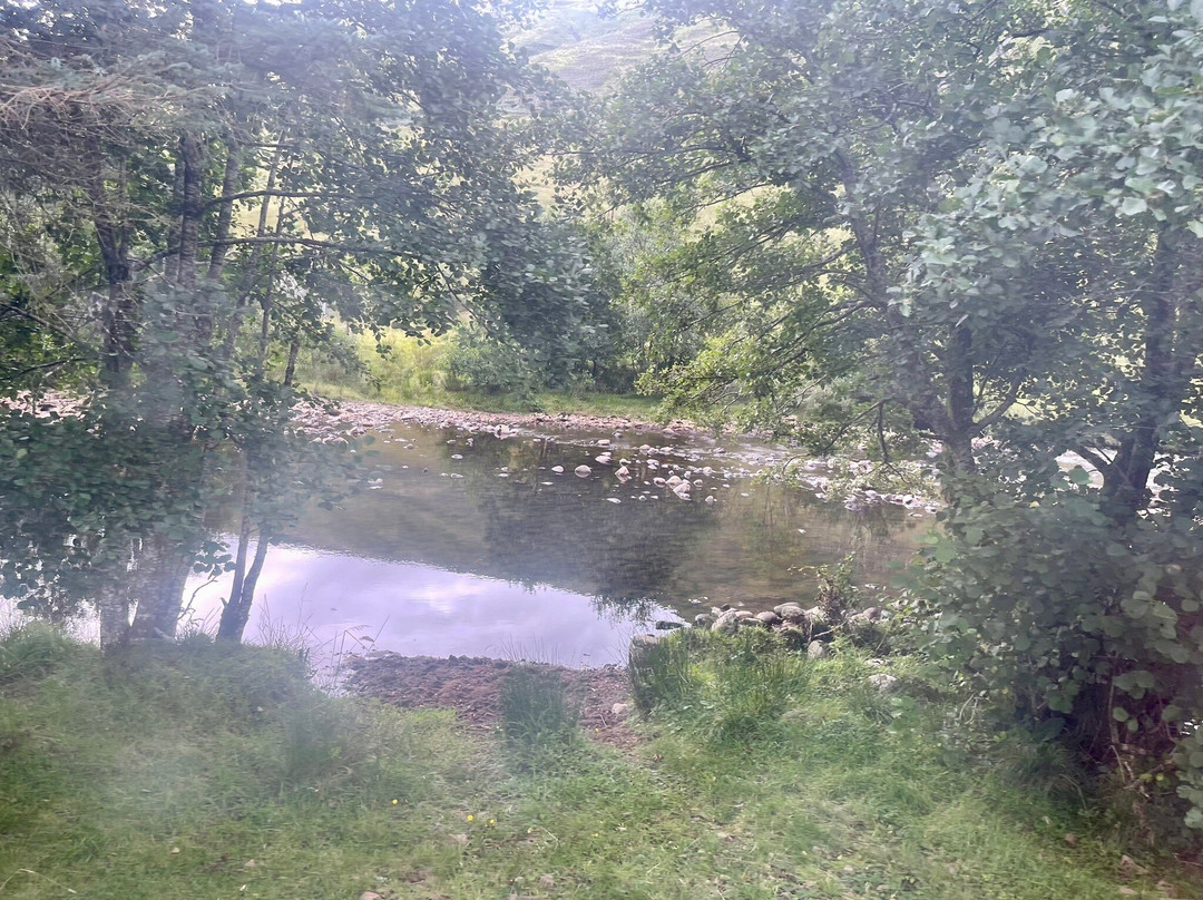 Moyle Park Campsite主图