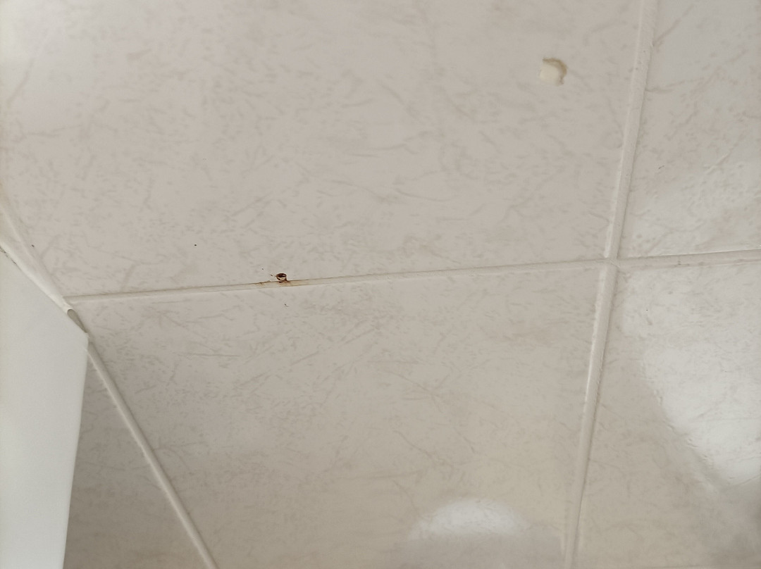 蒙维尔侬酒店主图