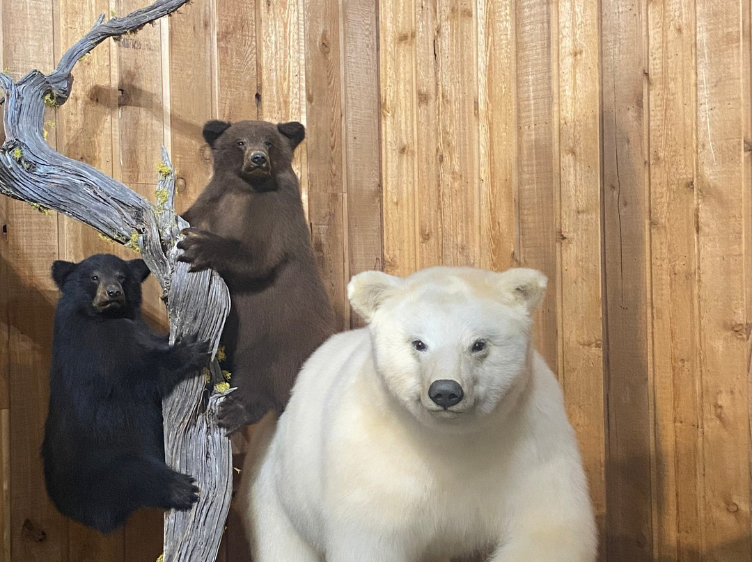 Canadian Wildlife Museum and Gift Shop-弗农必去景点