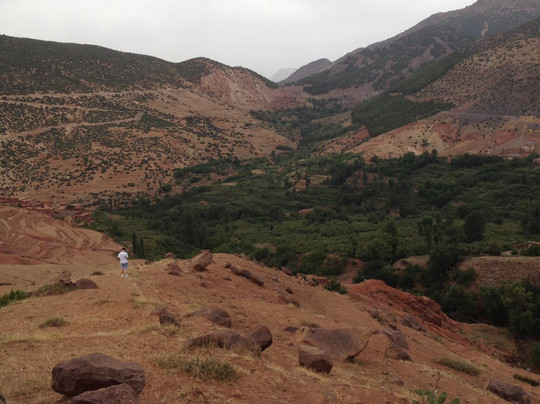 摩洛哥魅力之旅-马拉喀什必去景点