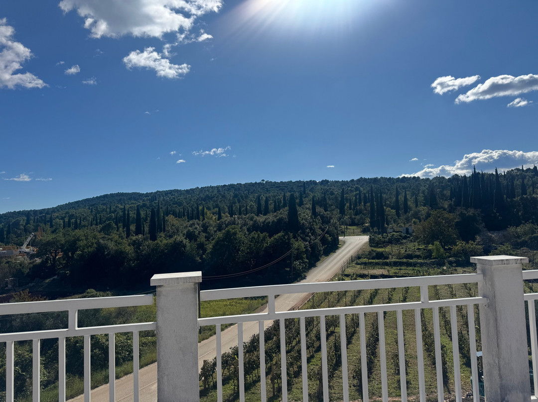 Crvik Winery-Cilipi必去景点