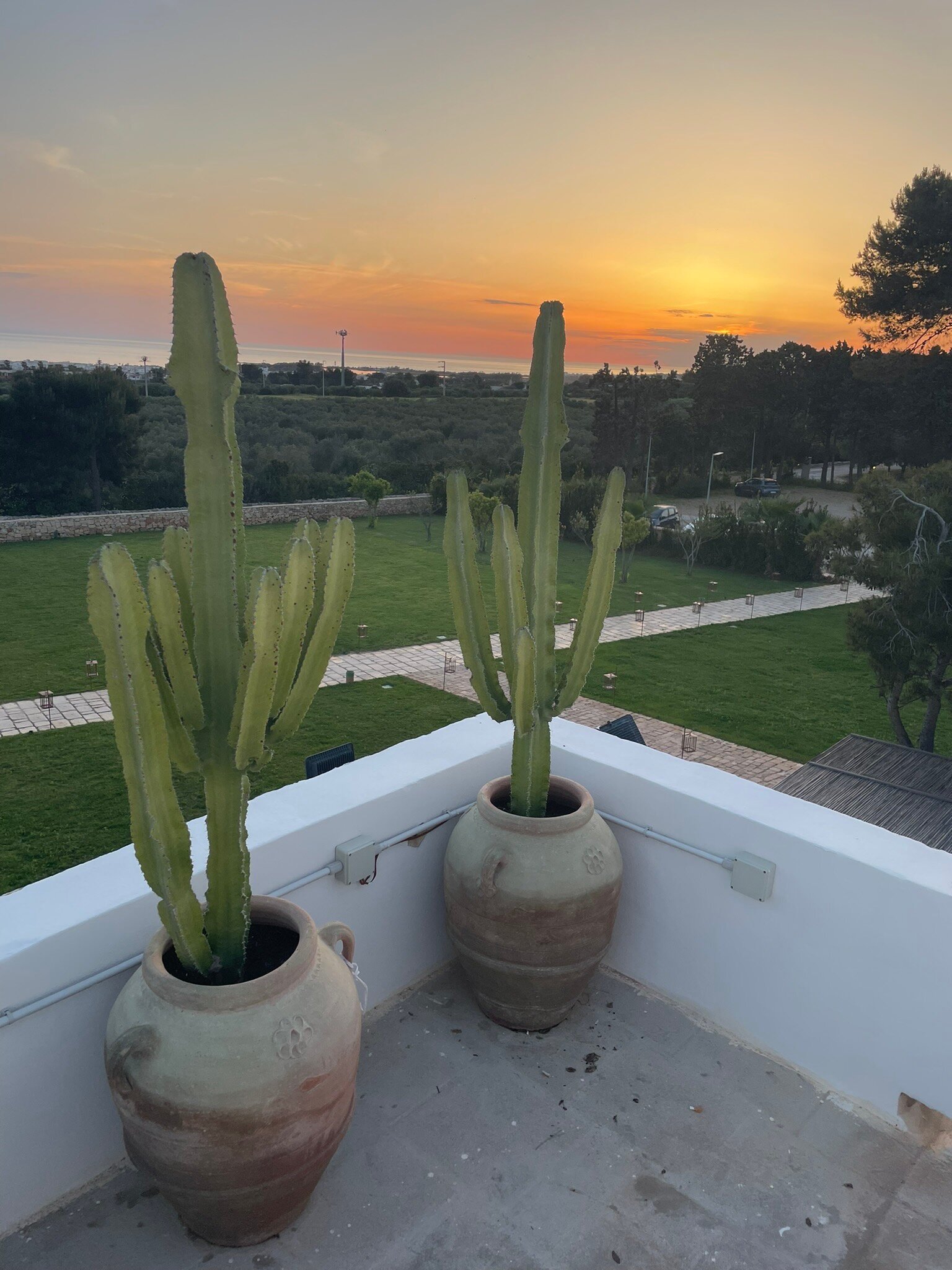 Masseria Baroni Di Montesardo-官方