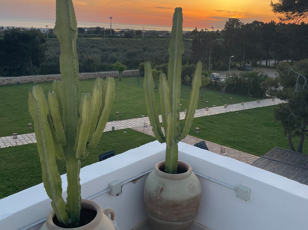 Masseria Baroni Di Montesardo主图