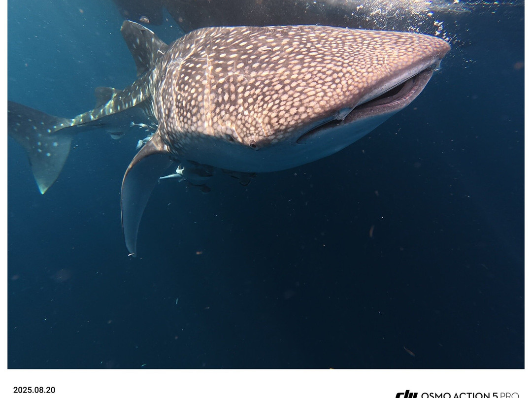 Kalawai Adventure-Waigeo Island必去景点