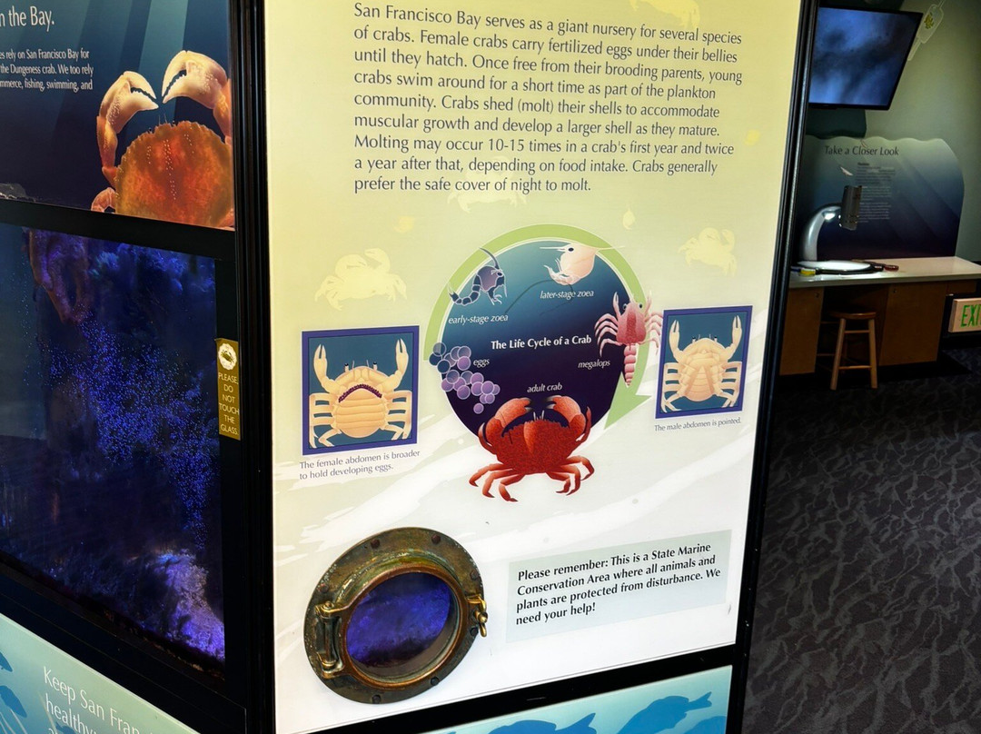 Crab Cove Visitor Center-阿拉米达必去景点