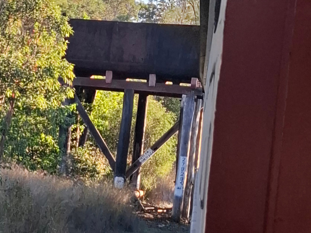 Southern Downs Steam Railway-Warwick必去景点
