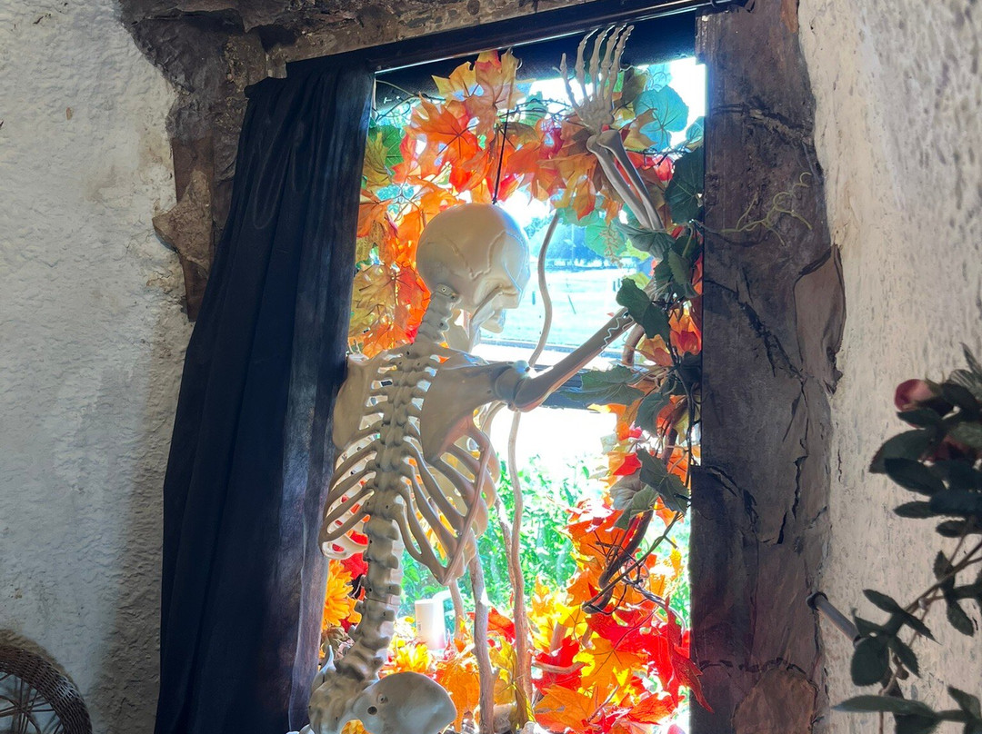 The Cave House-塔尔萨必去景点