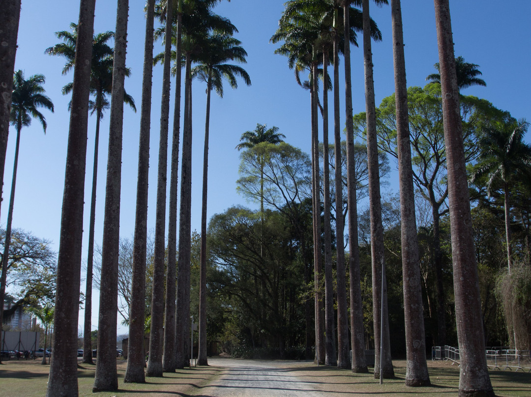 Parque Roberto Burle Marx-圣若泽杜斯坎普斯必去景点
