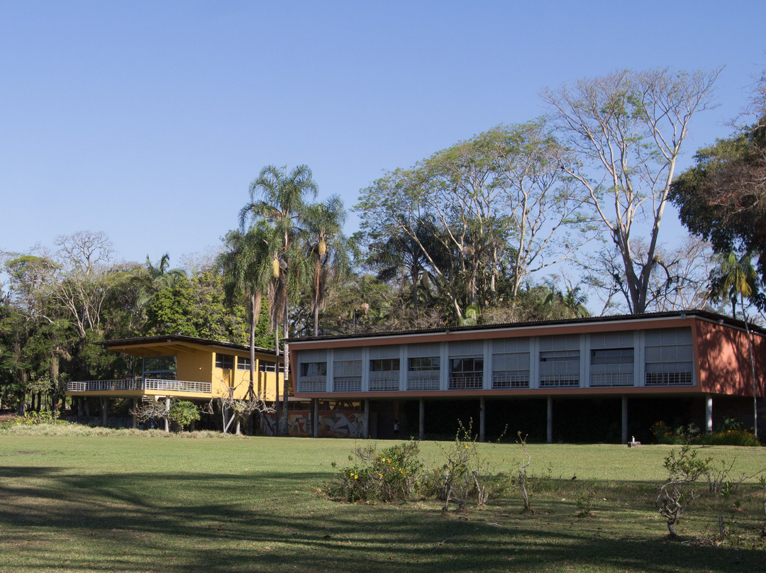 Parque Roberto Burle Marx-圣若泽杜斯坎普斯必去景点