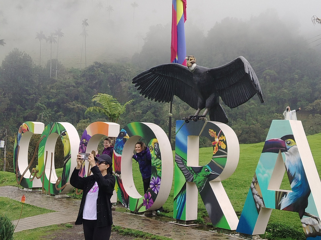 Magic Tours del Café-亚美尼亚必去景点