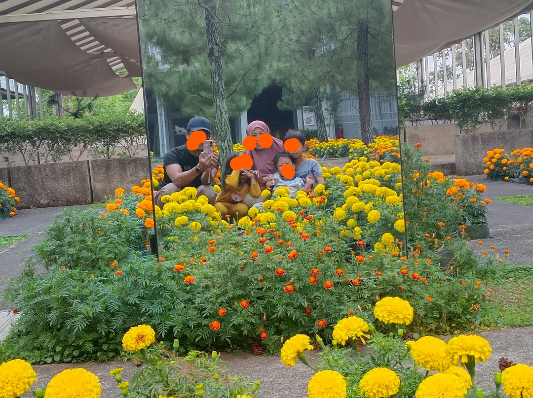 Rumah Atsiri Indonesia-Tawangmangu必去景点