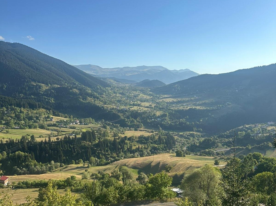 Yavuzköy orman parkı Seyir yeri-Savsat必去景点