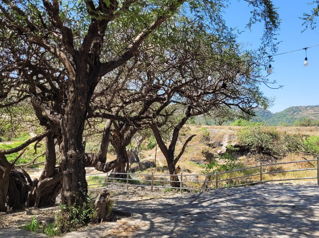 Wadi Darbat-塞拉莱必去景点