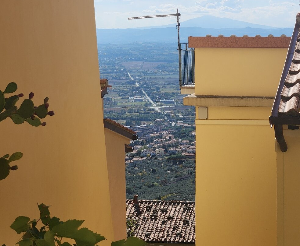 Villa Marsili主图
