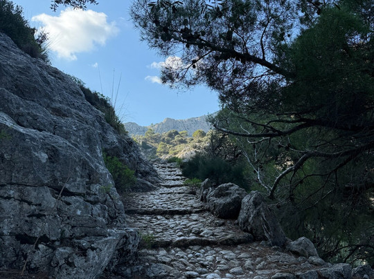 MallorcAlpina-马洛卡岛必去景点