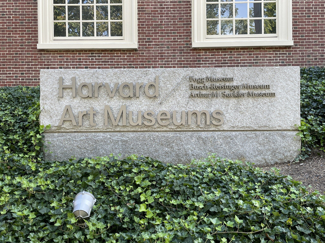 Harvard Art Museums-剑桥必去景点